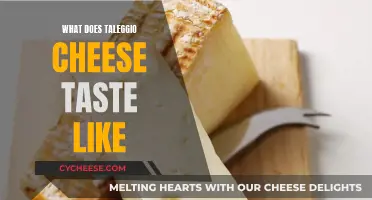 The Unique, Robust Flavor of Taleggio Cheese
