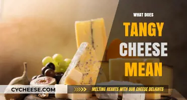 Understanding Tangy Cheese: Flavor, Types, and Culinary Uses Explained