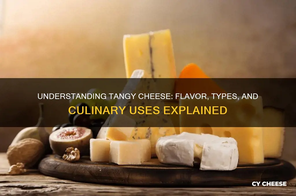 what does tangy cheese mean