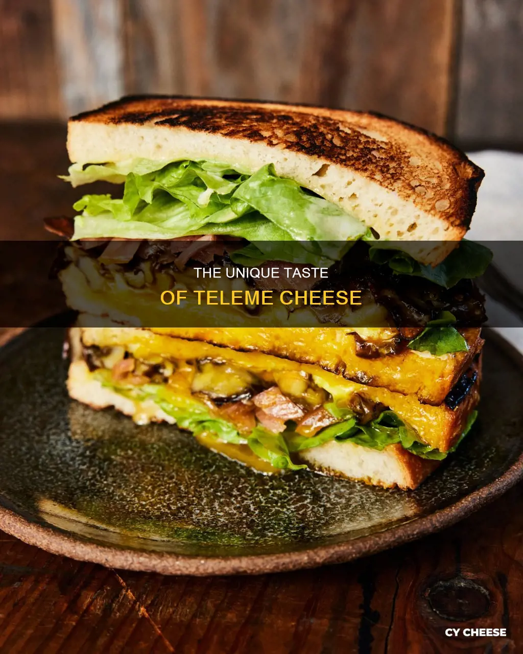what does teleme cheese taste like