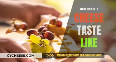 Teta Cheese: A Unique Flavor Profile Explored