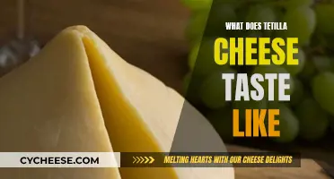 Tetilla Cheese: A Unique Flavor Profile Explored