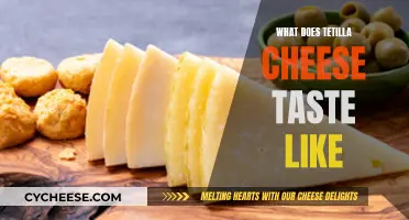 Tetilla Cheese: A Buttery, Mild, and Milky Taste