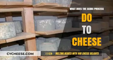 How Aging Transforms Cheese: Texture, Flavor, and Complexity Explained