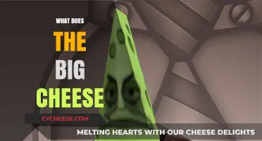 What Does 'The Big Cheese' Mean? Unraveling the Origin and Usage