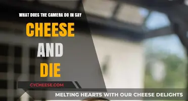 Say Cheese and Die Camera: Its Mysterious Powers and Effects