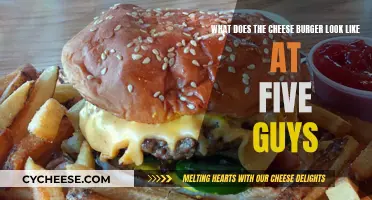 Five Guys' Cheeseburger: A Detailed Visual Guide