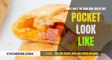 Visualizing the Perfect Ham and Cheese Hot Pocket