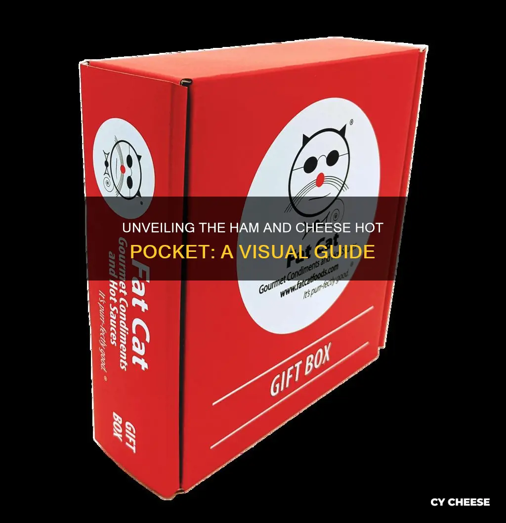 what does the ham and cheese hot pocket look like