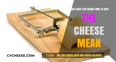 Understanding the Idiom: What Does 'Time to Bite the Cheese' Mean?