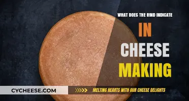 Understanding Cheese Rind: Its Role and Significance in Cheese Making