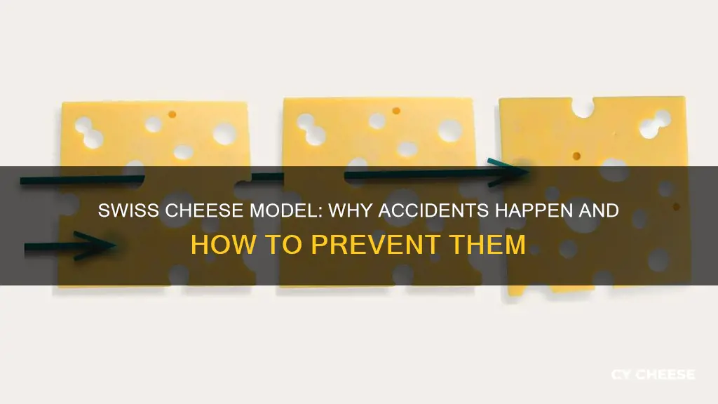 what does the swiss cheese model of accident causation suggest