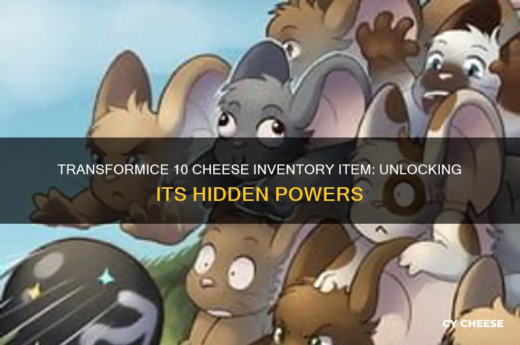 what does the transformice 10 cheese inventory item do