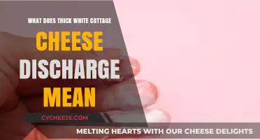 Understanding Thick White Cottage Cheese-Like Discharge: Causes and Concerns
