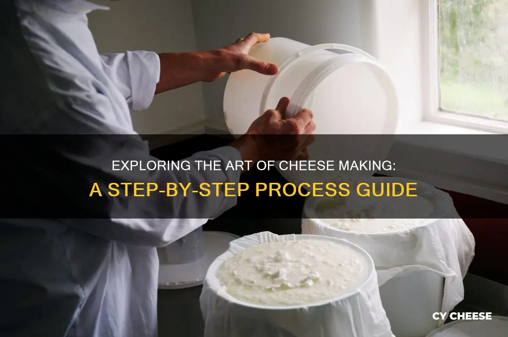 what does this process involve describe the method in cheese