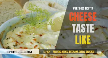The Unique Flavor of Ticotta Cheese