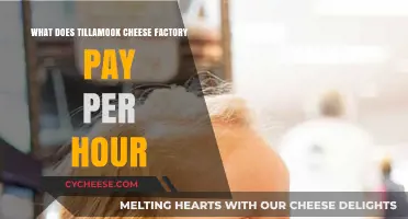 Tillamook Cheese Factory Hourly Wages: What Employees Earn Per Hour