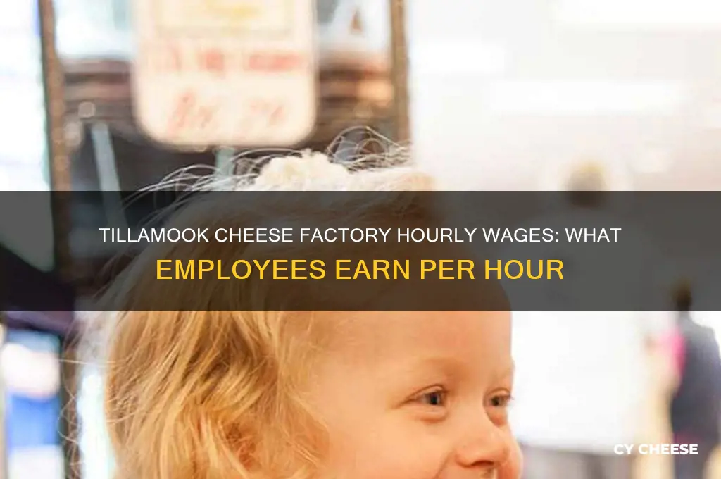 what does tillamook cheese factory pay per hour