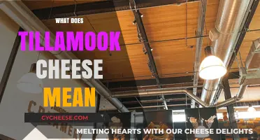 Understanding Tillamook Cheese: Origins, Meaning, and Culinary Significance Explained