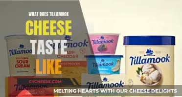 Tillamook Cheese: A Tasty, Tangy, and Creamy Adventure