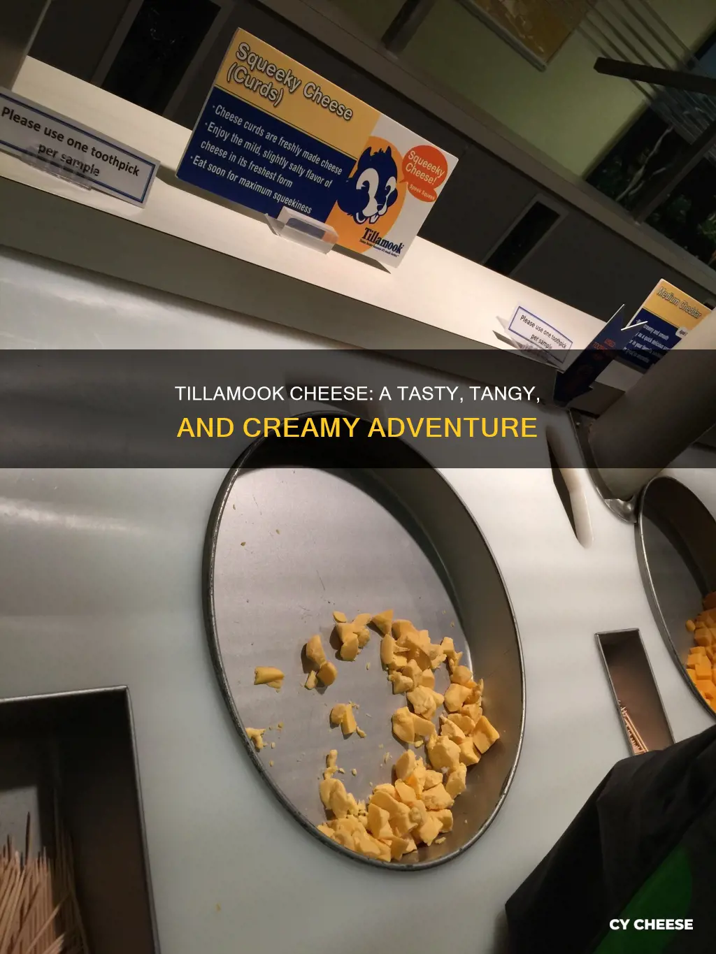 what does tillamook cheese taste like