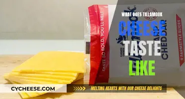 The Taste of Tillamook Cheese: A Savory Experience