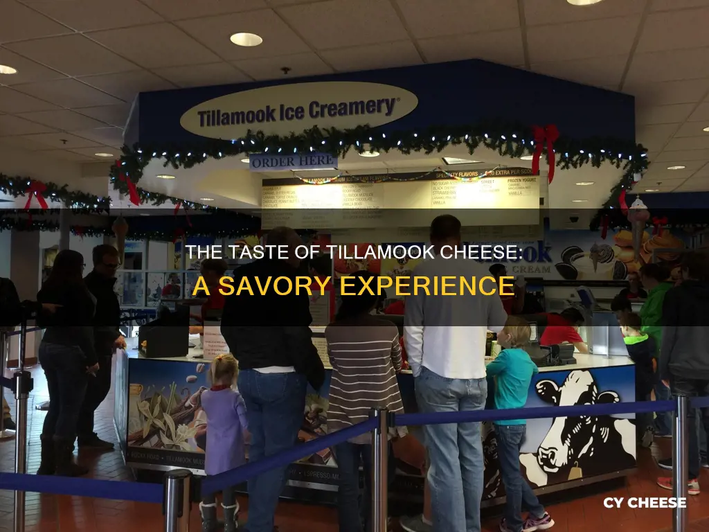 what does tillamook cheese taste like