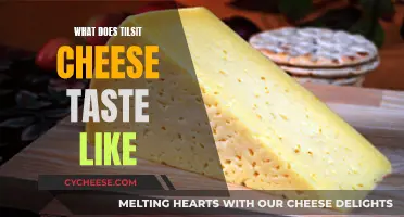Tilsit Cheese: A Tangy, Nutty Taste Experience