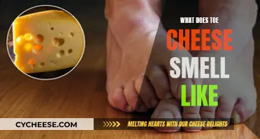 Toe Cheese: The Stinky Truth About Feet