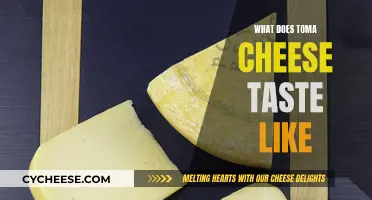 Toma Cheese: A Unique Flavor Profile Explored