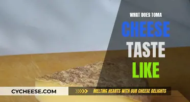 Toma Cheese: A Unique, Nutty Flavor Experience