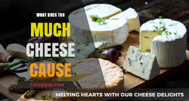 Excessive Cheese Consumption: Uncovering the Surprising Health Risks and Side Effects