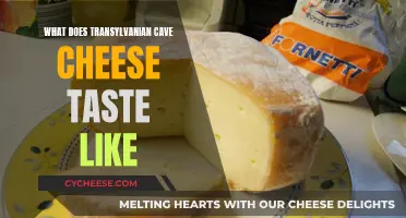 Mysteries of Transylvanian Cave Cheese: A Tasty Adventure Awaits