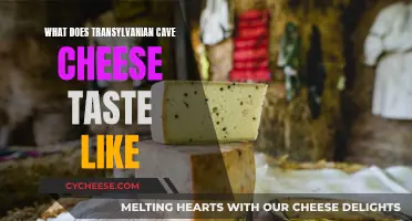 Unraveling the Taste of Transylvania's Cave Cheese