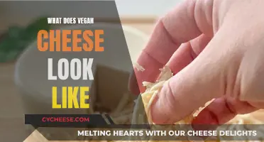 Unveiling the Visual Secrets of Vegan Cheese