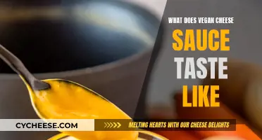 Vegan Cheese Sauce: Taste and Texture Profiled