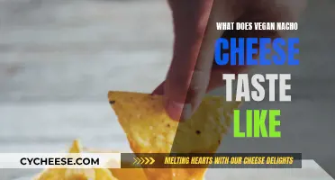 Vegan Nacho Cheese: A Tasty, Plant-Based Adventure