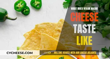 Vegan Nacho Cheese: Taste and Texture Review