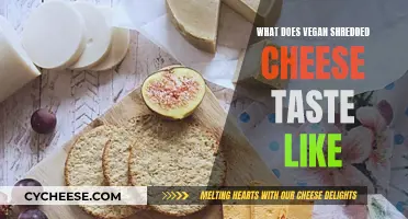 Taste Test: Vegan Shredded Cheese, Unveiled!