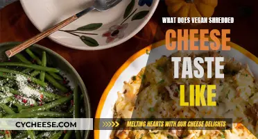 Vegan Shredded Cheese: Taste and Texture Review