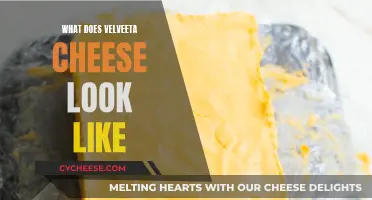 Velveeta Cheese: Unveiling Its Unique Appearance and Texture