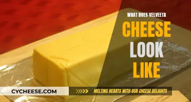 Velveeta Cheese: A Visual Guide to Its Appearance