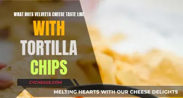 Velveeta's Cheesy Bliss: Tortilla Chip Harmony