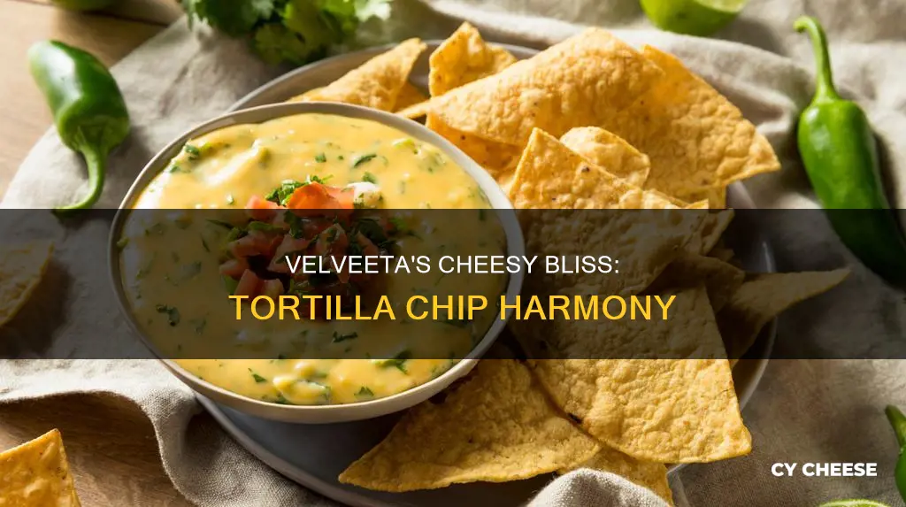 what does velveeta cheese taste like with tortilla chips