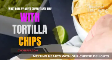 Velveeta Cheese and Tortilla Chips: A Tasty Combo?