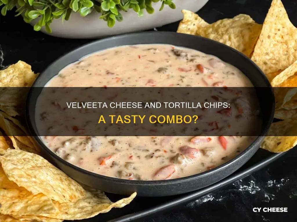what does velveeta cheese taste like with tortilla chips