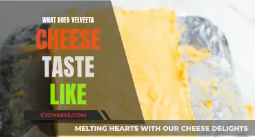 Velveeta's Creamy, Mild, and Melty Delight: A Tasty Adventure