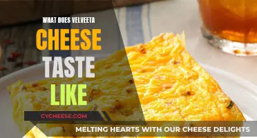 Velveeta Cheese: A Taste of Creamy, Dreamy Deliciousness