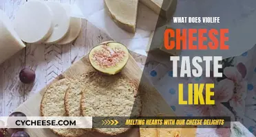 Exploring the Tasty World of ViOlife Cheese: A Flavorful Adventure