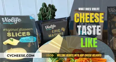 Violife Cheese: Taste and Texture Profiled